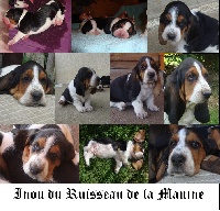 Inou du Ruisseau de La Manine